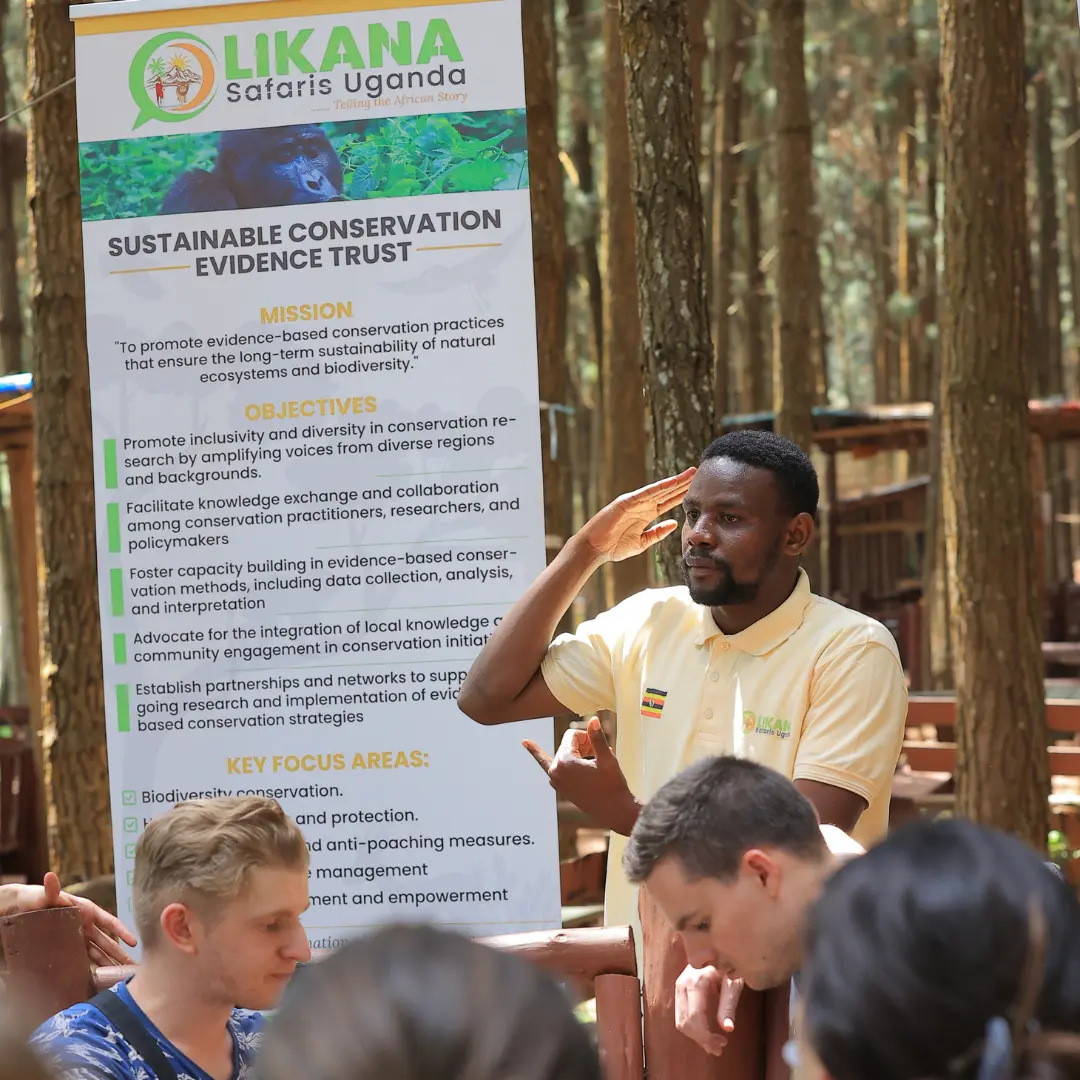 Education & Awareness